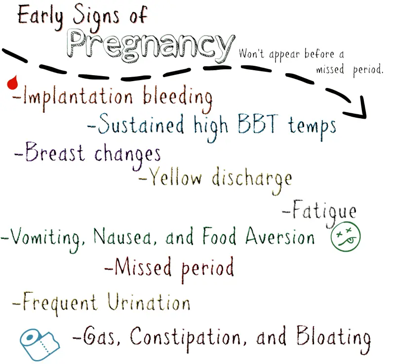 Early Signs of Pregnancy Quiz