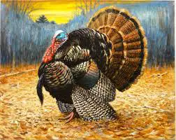 thanksgiving symbols turkey