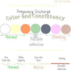pregnancy discharge and consistancy