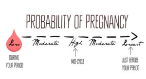 am i pregnant quiz chances of pregnancy