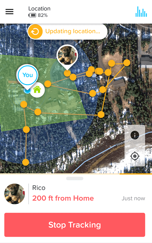 Whistle 3 Pet GPS Tracker Review Will It Work in Alaska?