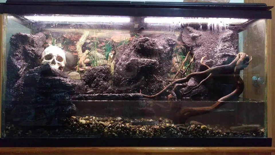 DIY Foam fish tank aquarium background