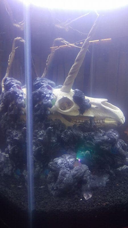 DIY foam fish tank cave unicorn
