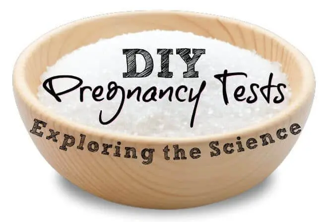 DIY pregnancy test bleach pregnancy test sugar pregnancy test toothpaste pregnancy test vinegar pregnancy test 