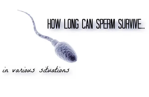 how long does sperm live outside the body